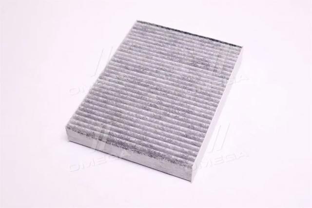 RD61J6WP9383 Rider Filtro antipolen