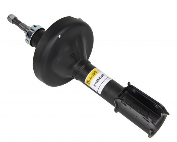 Amortiguadores Raiso RS230380 precio, desde 35,15 EUR