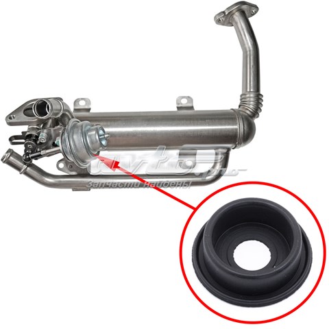 Diafragma, Valvula De La Compuerta EGR Volkswagen Multivan T5 (7HM, 7HN, 7HF, 7EF, 7EM, 7EN)