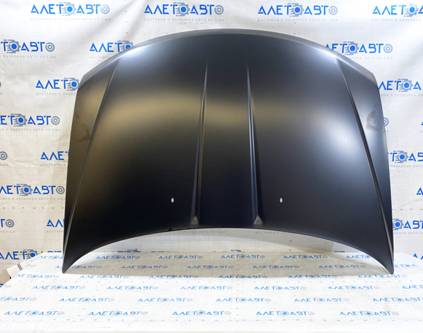 Capó del motor FPS FP2407280 precio, desde 413,82 EUR