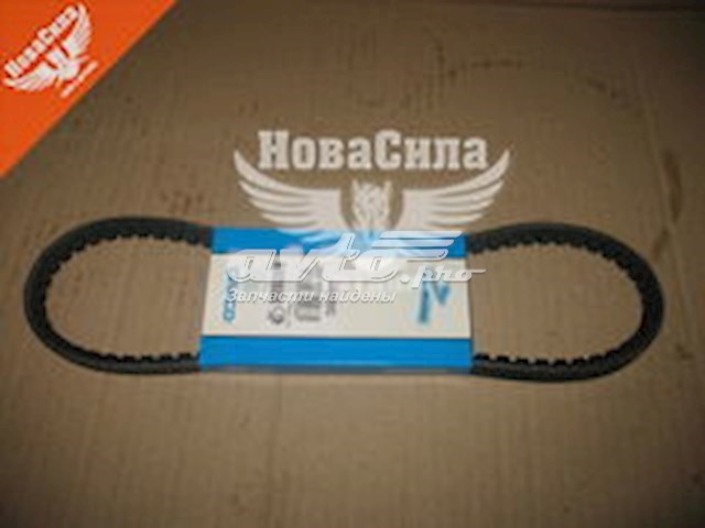 Correa de transmisión trapezoidal Dayco 13A0800C precio, desde 12,19 EUR
