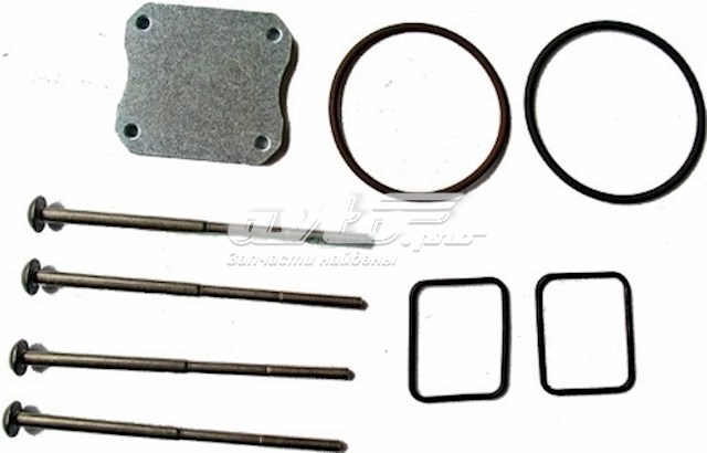 F00HN37069 Bosch Kit de reparación del inyector
