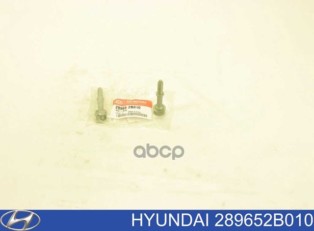 289652B010 Hyundai/Kia