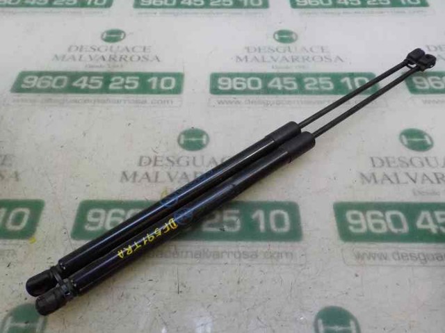 2284725 Ford Amortiguador de porton