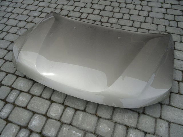 Capó del motor Renault (RVI) 651008347R precio, desde 235,68 EUR