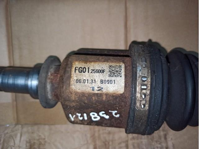 XXFG0125600F Market (OEM)