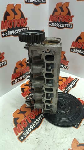 Cabeza de cilindro Fiat/Alfa/Lancia 55193091 precio, desde 158,27 EUR