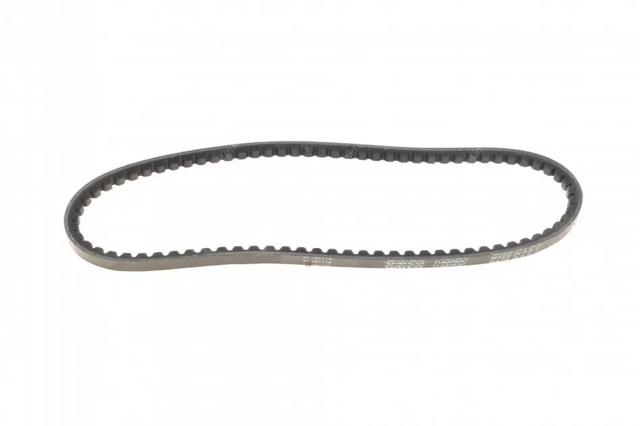 11A0793C Dayco Correa poly v