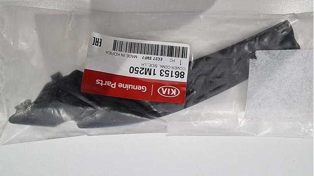 861531M250 Hyundai/Kia