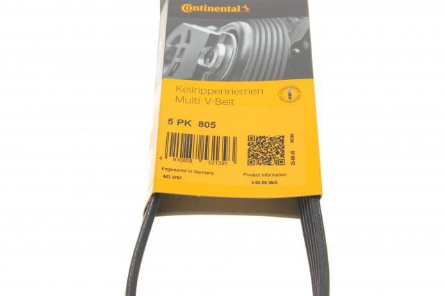 Correa de alternador 5PK805 Continental/Siemens