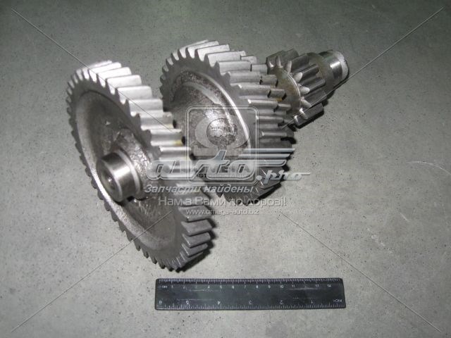 52170105010 Market (OEM)