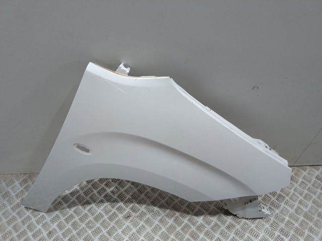 9816482380 Peugeot/Citroen Aleta delantera