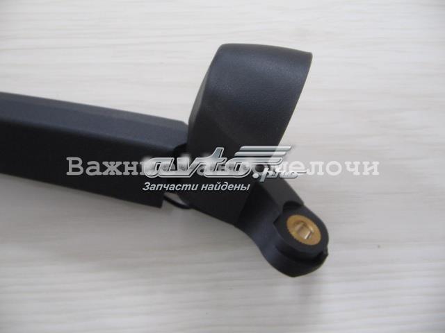 Brazo del limpiaparabrisas, trasero 2051RWT1 Polcar