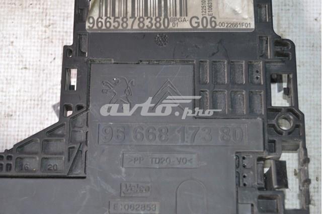 9665878380 Peugeot/Citroen 