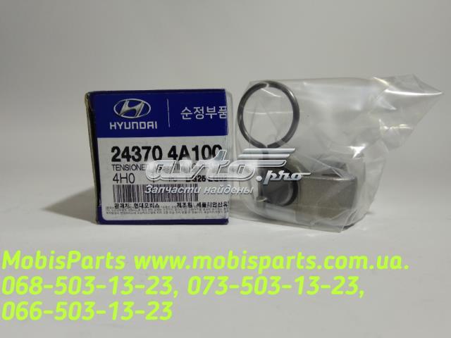 Tensor de cadena de bomba de aceite Hyundai/Kia 243704A100 precio, desde 18,86 EUR