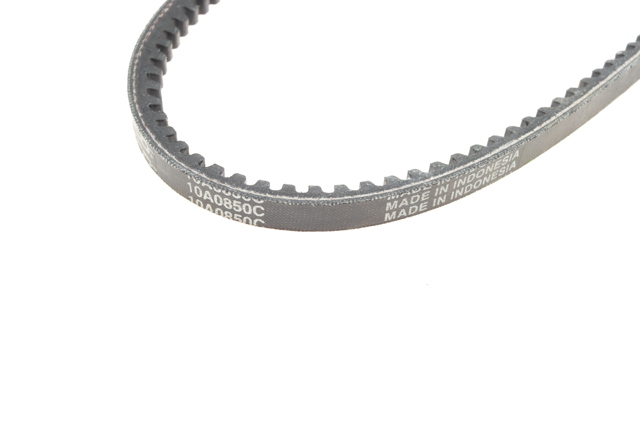10A0850C Dayco Correa poly v