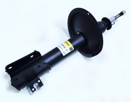 Amortiguadores Raiso RS310767 precio, desde 49,23 EUR