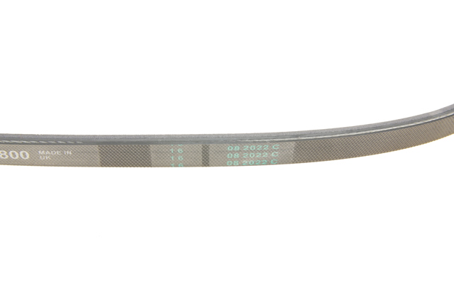 Comprar 3PK800 Continental/Siemens Correa trapezoidal