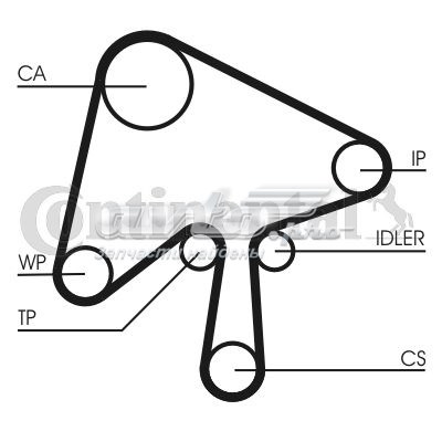 CT1136K1 Continental/Siemens kit correa de distribución