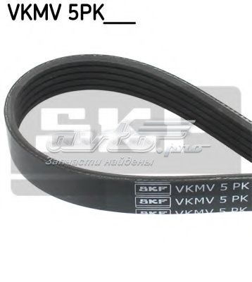 VKMV 5PK1592 SKF correa trapezoidal