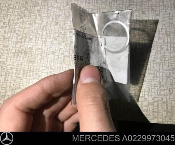 A0229973045 Mercedes