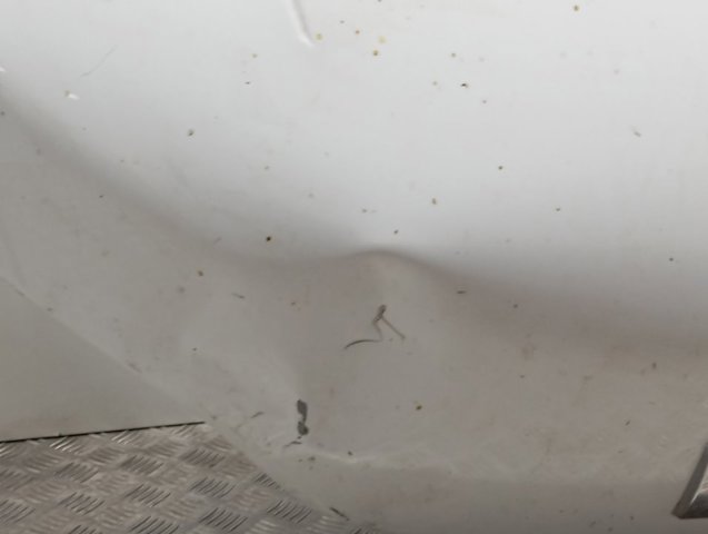 Capot Iveco 5801492603