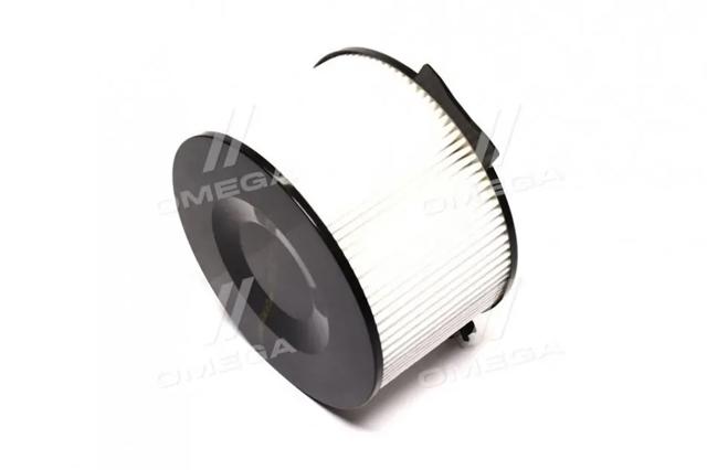 REC610239 Rider Filtro antipolen