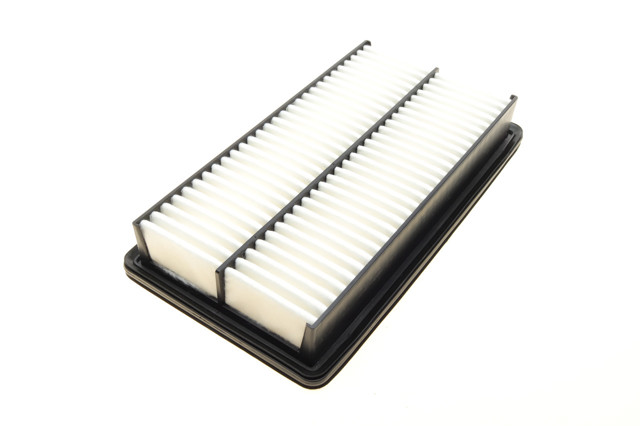 Comprar WH2029 Wunder Filtro de aire