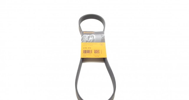 Correa de alternador 6PK970 Continental/Siemens