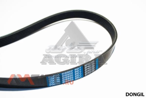6PK2120 Dongil Correa poly v