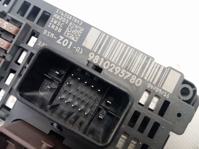 Comprar 9810295780 Peugeot/Citroen 