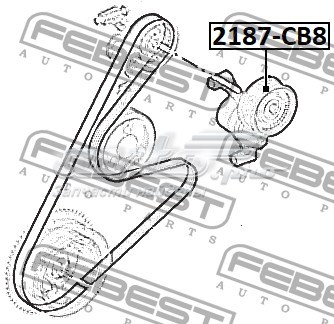 2187CB8 Febest rodillo, correa trapecial poli v