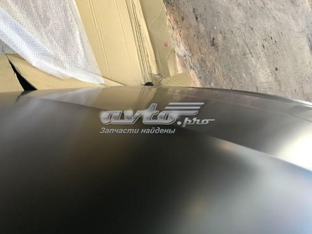 Capó del motor Signeda PVG20097A precio, desde 210,96 EUR