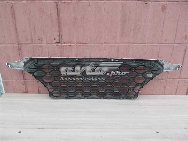 Calandra para Hyundai Santa Fe IV TM, TMA