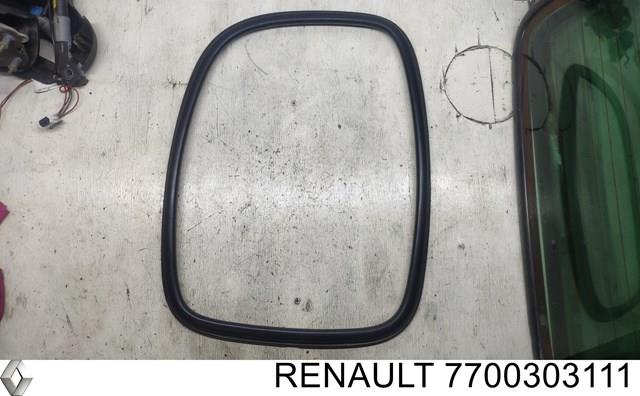 7700303111 Renault (RVI)