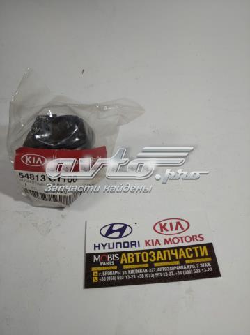 Casquillo de barra estabilizadora delantera HYUNDAI 54813C1100