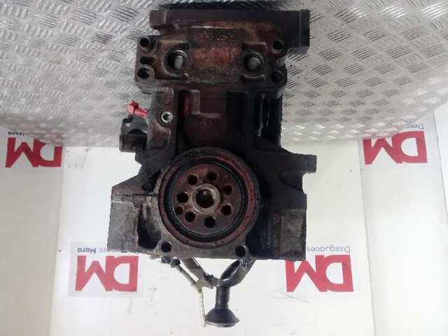 Motor completo F1AE0481G Iveco