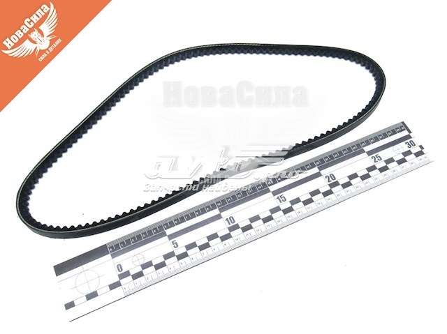 Correa de alternador 10A0875C Dayco