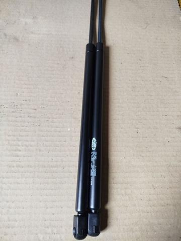 Amortiguador maletero GS0143 Magneti Marelli