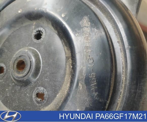 PA66GF17M21 Hyundai/Kia 