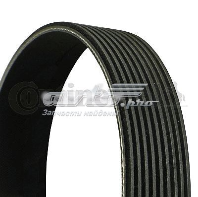 9PK4145 Continental/Siemens Correa poly v