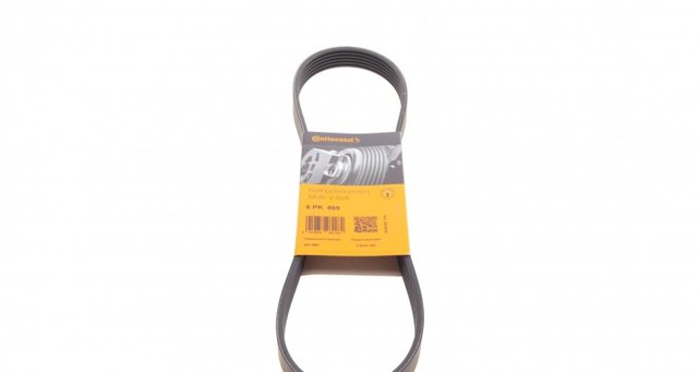 Correa de transmisión trapezoidal Continental/Siemens 6PK869 precio, desde 21,43 EUR