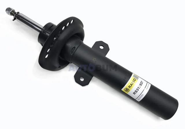 Amortiguador delantero Raiso RS312937