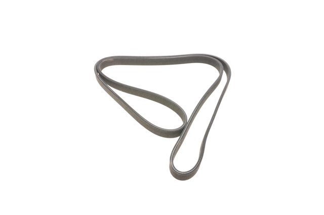 Correa de alternador 6DPK1825 Dayco