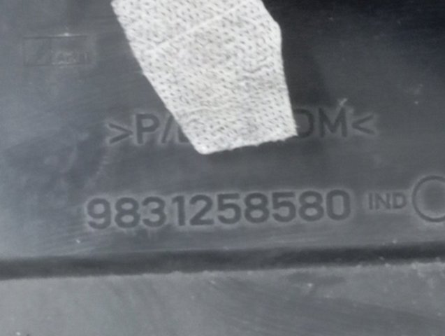 Guardalodos interior izquierdo, guardafango delantero Peugeot/Citroen 9831258580