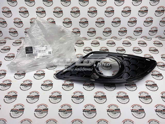 Tapa de rejilla de faro antiniebla delantero derecho A2218850253 Mercedes