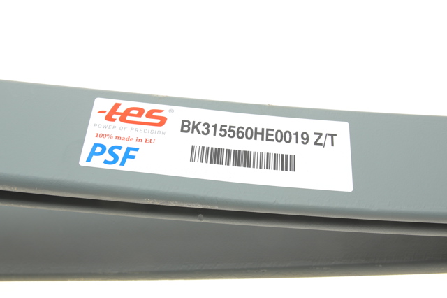 Ballesta trasera  TES BK315560HE0019ZT