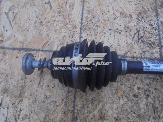 Comprar 7591681 BMW 