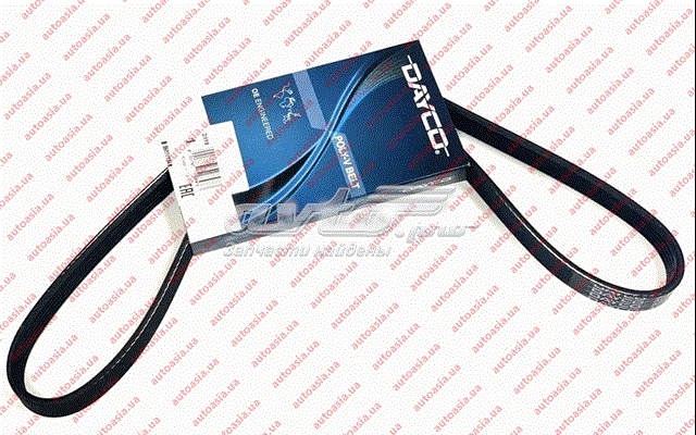 E030000401 Dayco Correa poly v