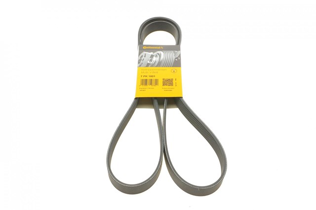 Correa de transmisión trapezoidal Continental/Siemens 7PK1801 precio, desde 15,05 EUR